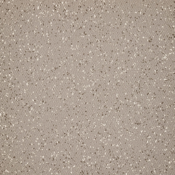 Picture of Burke - Colorspec Sculptured 36 x 36 Gray Dog