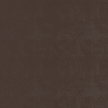 Picture of Burke - Colorscape Sculptured 18 x 18 Brown