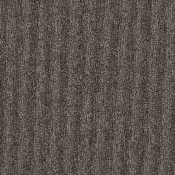 Picture of Philadelphia Commercial by Shaw - Profusion Piles