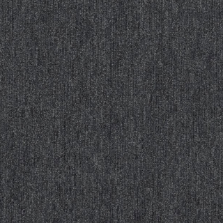 Picture of Philadelphia Commercial by Shaw - Profusion Plethora