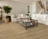 Picture of Shaw Floors - Distinction Plus Golden Timber