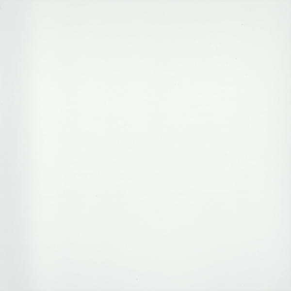 Picture of Emser Tile - Style II 24 x 24 Pure White