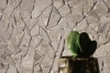 Picture of Bedrosians - Frammenta Mosaic Beige