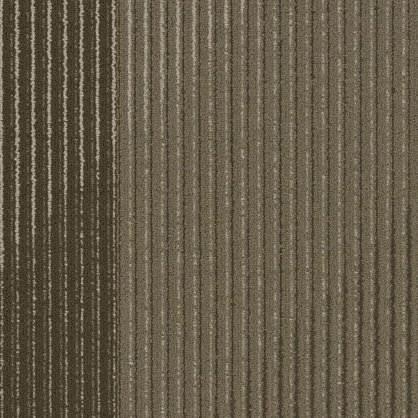 Picture of Philadelphia Commercial by Shaw - Block By Block On Neutral Ground