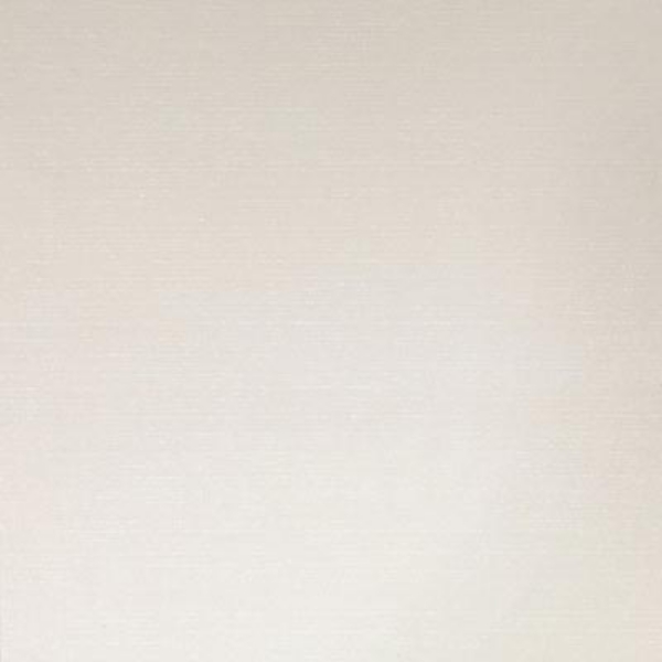 Picture of Daltile - PZazz 12 x 24 White Ritz