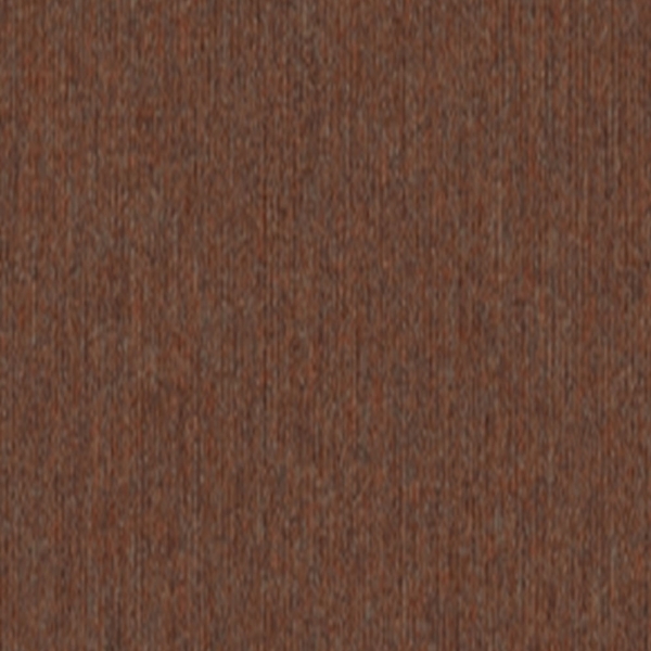 Picture of 5th and Main - Beyond Limits Terra