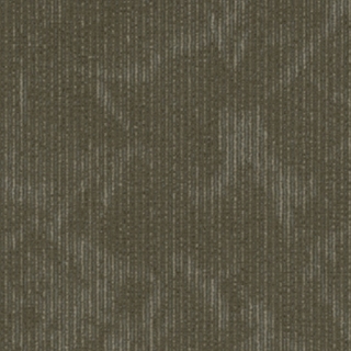 Picture of 5th and Main - Cultered Esthetic Distinction