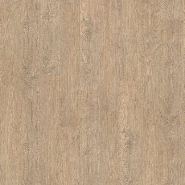 Picture of 5th and Main - Encore 12 Recurrence