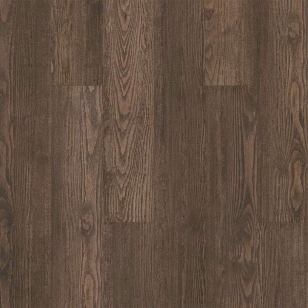 Picture of 5th and Main - Symbiotic 20 Sweetgum