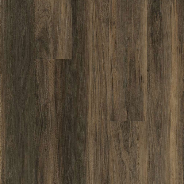 Picture of 5th and Main - Symbiotic 20 Terra