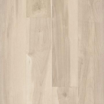 Picture of 5th and Main - Symbiotic 12 Nova