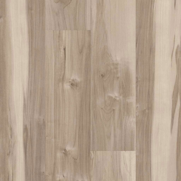 Picture of 5th and Main - Symbiotic 12 Capeview