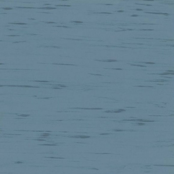 Picture of Rikett - RQT Classic 12 x 24 Mystic Blue