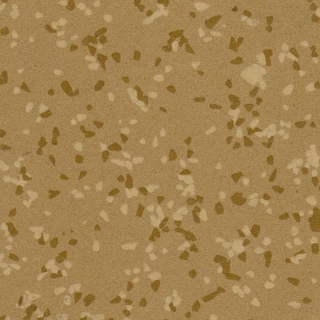 Picture of Rikett - RQT Medley 12 x 24 Cool Beige