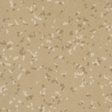 Picture of Rikett - RQT Medley 24 x 24 Pinot Gris