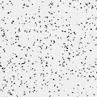 Picture of Rikett - RQT Medley 24 x 24 White Pepper