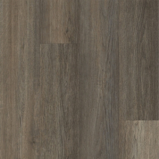 Picture of Happy Feet Intl. - Rescue Lake Placid