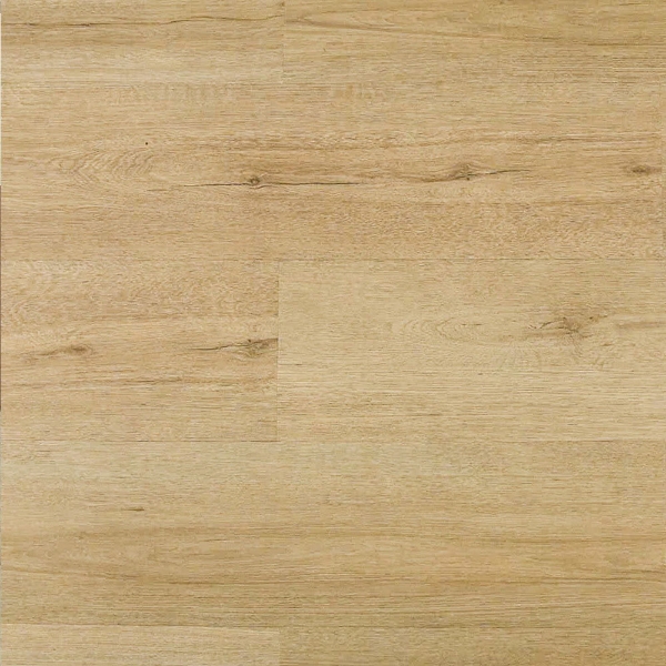 Picture of Montserrat - Omnia Bonafide Canvas