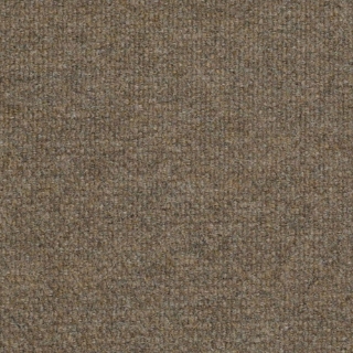 Picture of Philadelphia Commercial by Shaw - Succession II TL Sierra Sand