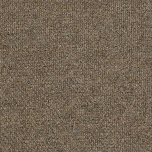 Picture of Philadelphia Commercial by Shaw - Succession II TL Sierra Sand