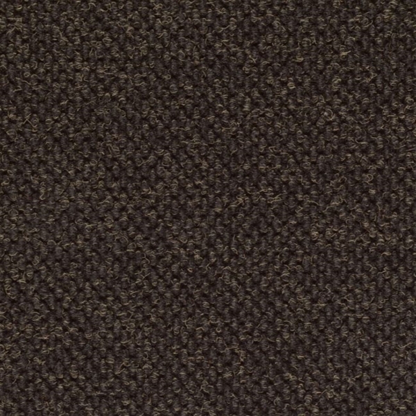 Picture of Philadelphia Commercial by Shaw - Succession II TL Tarmac