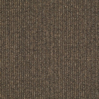 Picture of Philadelphia Commercial by Shaw - Step On It Early Bird