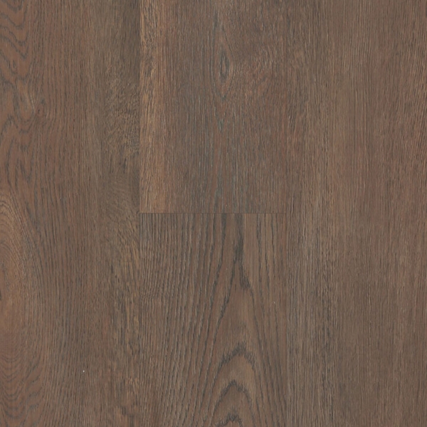 Picture of Next Floor - ScratchMaster Everwood Gunstock