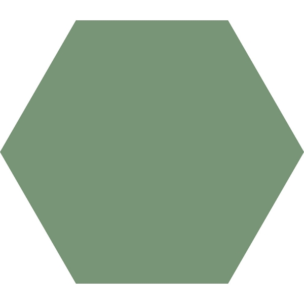 Picture of Codicer - Hex 25 Basic Forest