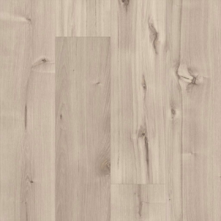 Picture of 5th and Main - Symbiotic 20 Canvas