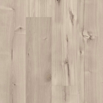 Picture of 5th and Main - Symbiotic 20 Canvas