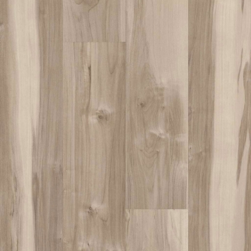 Picture of 5th and Main - Symbiotic 20 Capeview