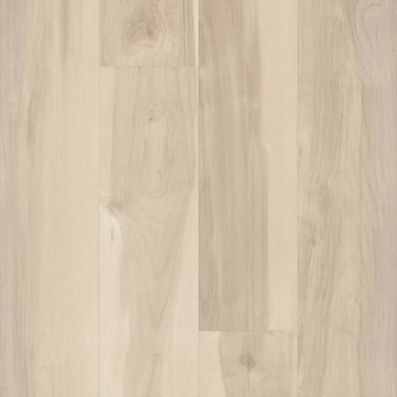 Picture of 5th and Main - Symbiotic 20 Nova