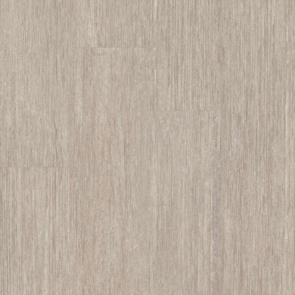 Picture of 5th and Main - Symbiotic 12 Grain