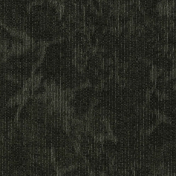 Picture of 5th and Main - Cultered Esthetic Collective