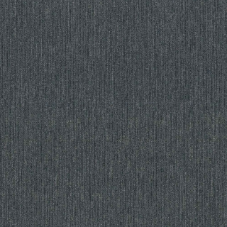 Picture of 5th and Main - Beyond Limits Territory