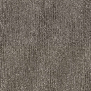 Picture of 5th and Main - Beyond Limits Tract