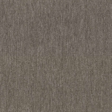 Picture of 5th and Main - Beyond Limits Tract