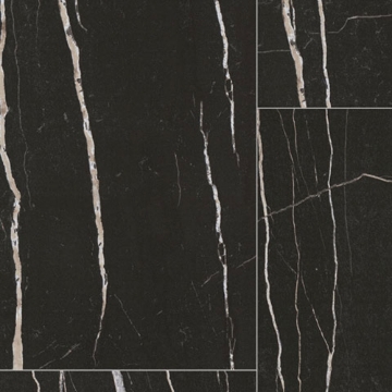 Picture of Tarkett - ProGen 12 x 24 Nero Marquina