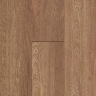 Picture of Happy Feet Intl. - Rescue Red Rocks