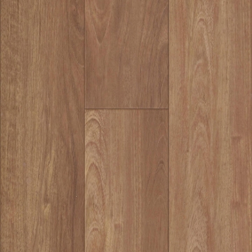 Picture of Happy Feet Intl. - Rescue Red Rocks