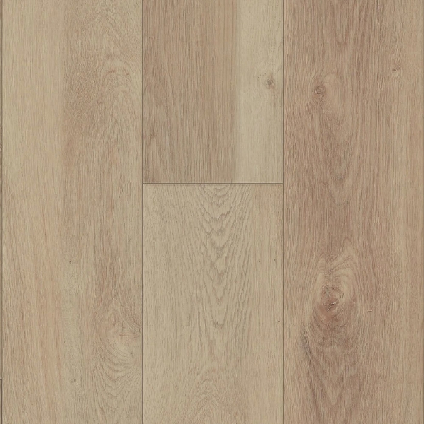 Picture of Happy Feet Intl. - Rescue Denali