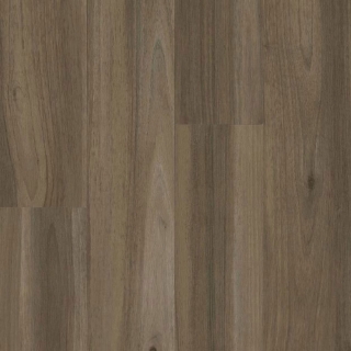 Picture of Armstrong - American Charm 6 Northhamptonshire Bear Brown