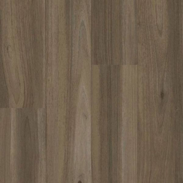 Picture of Armstrong - American Charm 6 Northhamptonshire Bear Brown