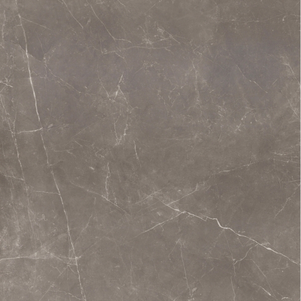 Picture of Emser Tile - Sterlina II 24 x 24 Polished Henna