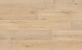 Picture of Johnson - Skyview Starlight