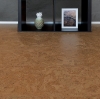 Picture of WE Cork - Avant Garde Collection with Greenshield Renaissance Earth