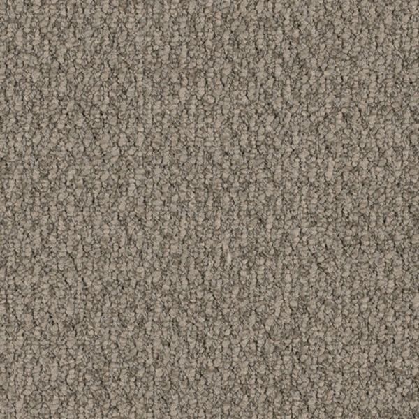 Picture of Patcraft - Socrates II Sartre