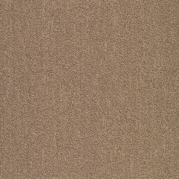 Picture of Patcraft - Color Your World Color Guard