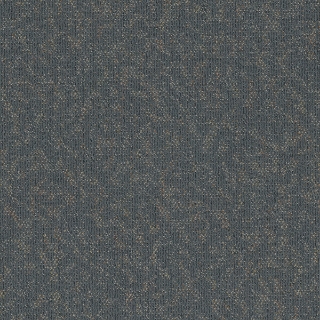 Picture of Pentz - Animated Vibrant