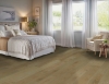 Picture of Hartco - Timberbrushed Gold Sandy Stroll